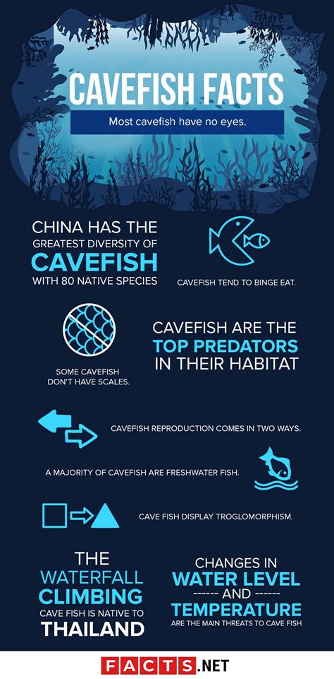 30 Cavefish Facts About The World's Most Elusive Fish.